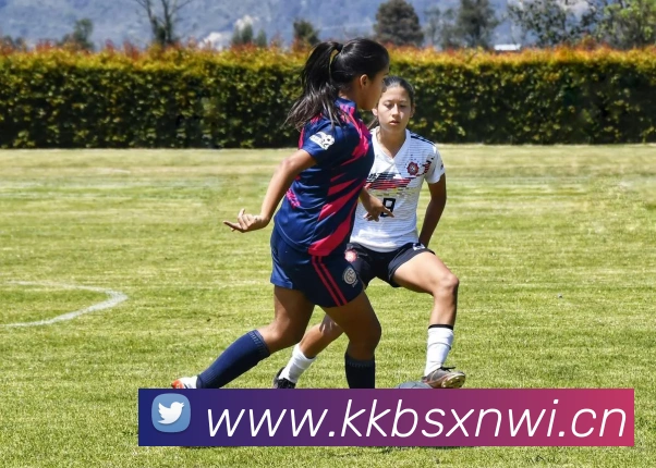 星空最新官方网址平台生态图